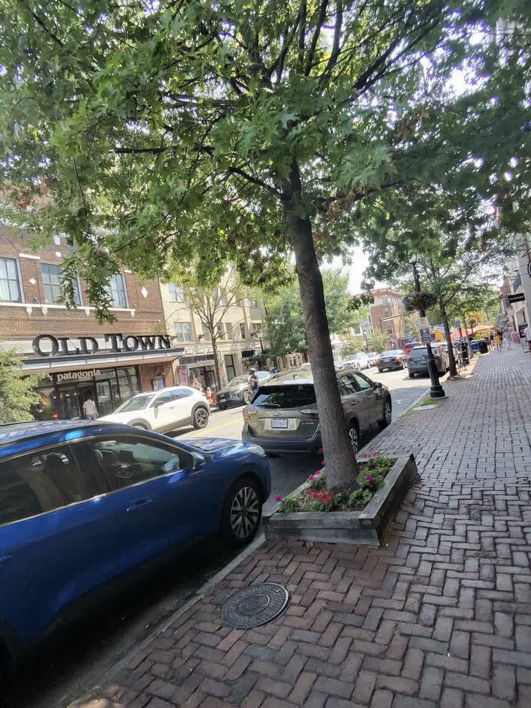 Morning light on a brick street in Old Town on farmers market day