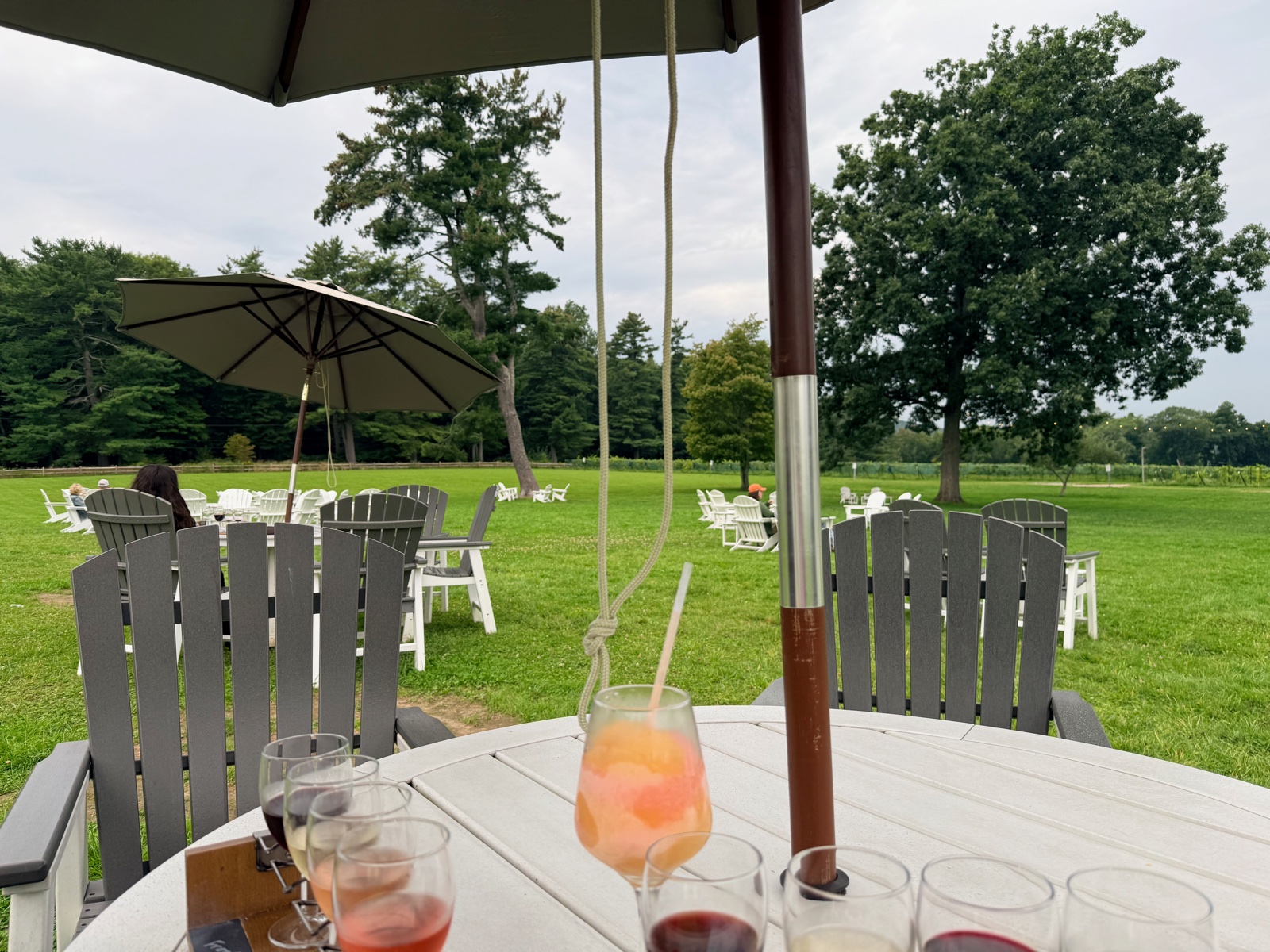 A wine tasting flight on a white table with the vineyard lawn behind it